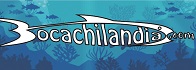 Logo Bocachilandia.Com